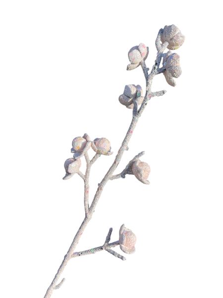 Powder decorative branch “Sakura”