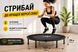 Батут MS 3383-9 діаметр 122 см для фітнесу та дому MS 3383-9 фото 4