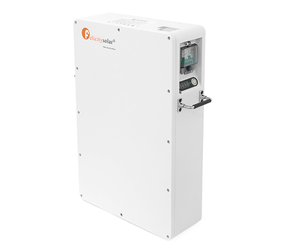 Акумулятор LiFePO4 FelicityESS LPBA48100-OL 51.2V 100Ah 5.12kWh, IP65, BMS 60A, CAN/RS485 44051 фото