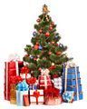 New Year Products