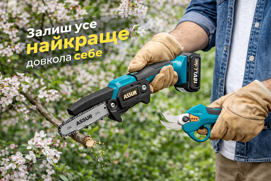 Акумуляторна міні-пила ASSUR ASR1013 18V 4"/6" з секатором, бездротова садова ланцюгова пила у кейсі ASR1013/МК фото