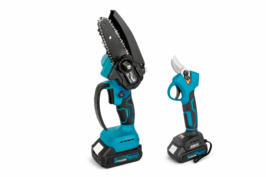 Акумуляторна міні-пила ASSUR ASR1013 18V 4"/6" з секатором, бездротова садова ланцюгова пила у кейсі ASR1013/МК фото