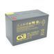 Акумуляторна батарея CSB HRL12330W, 12V 100Ah (308.7х168х210.6(220) 28231 фото 1