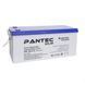 Акумуляторна батарея PANTEC 200-12 GEL 12V 200 Ah (522 x 240 x 224), 60.3 kg Grey Q1/48 37505 фото 2