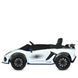 Детский электромобиль Bambi Racer M 6026EBLR-1 (24V), 4x45W, 2x12V 9Ah, 2 места, EVA колеса, пульт 2.4G, белый M 6026EBLR-1(24V) фото 7